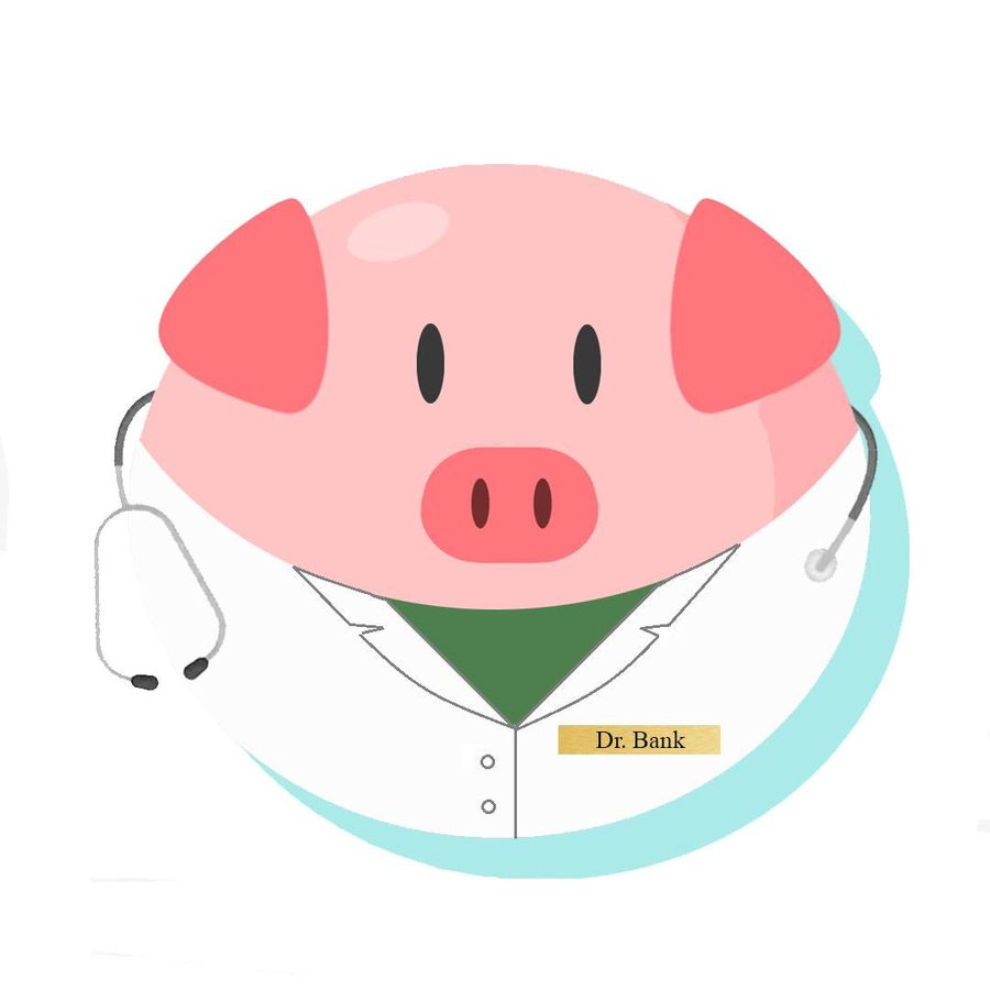 The Dr. Piggy Bank mark: a pig in a white doctor's coat with a stethoscope and a coat name plate reading Dr. Bank.